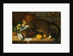 The Collared Thief by William J. Webbe