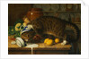 The Collared Thief by William J. Webbe
