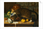 The Collared Thief by William J. Webbe