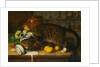 The Collared Thief by William J. Webbe