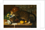 The Collared Thief by William J. Webbe