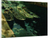 Small Fishing Boats in Zarauz, Spain by Joaquin Sorolla y Bastida