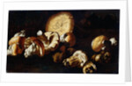 Painting of Porcini Mushrooms by Circle of the Pseudo Fardella