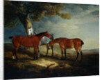 Painting of Horses in a Landscape by John Ferneley