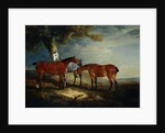 Painting of Horses in a Landscape by John Ferneley