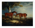 Painting of Horses in a Landscape by John Ferneley