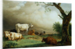 Painting of Cattle in a Field by Paulus Potter