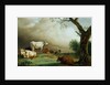 Painting of Cattle in a Field by Paulus Potter