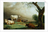 Painting of Cattle in a Field by Paulus Potter