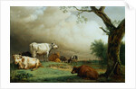 Painting of Cattle in a Field by Paulus Potter