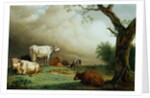 Painting of Cattle in a Field by Paulus Potter