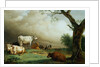 Painting of Cattle in a Field by Paulus Potter