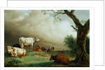 Painting of Cattle in a Field by Paulus Potter