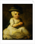 Portrait of Louis Bonomi by Angelica Kaufmann