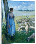 Shepherdess and Sheep by Camille Pissarro