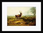 The Stag, Effect of the Morning by Rosa Bonheur