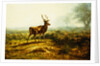 The Stag, Effect of the Morning by Rosa Bonheur