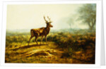 The Stag, Effect of the Morning by Rosa Bonheur