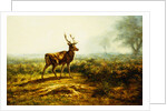The Stag, Effect of the Morning by Rosa Bonheur