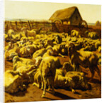 Sheep by Rosa Bonheur