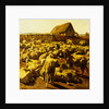 Sheep by Rosa Bonheur