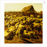 Sheep by Rosa Bonheur