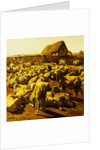 Sheep by Rosa Bonheur