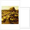 Sheep by Rosa Bonheur
