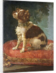 A Spaniel on a Cushion by Circle of Giacomo Antonio Ceruti