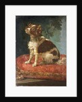 A Spaniel on a Cushion by Circle of Giacomo Antonio Ceruti