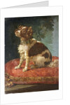 A Spaniel on a Cushion by Circle of Giacomo Antonio Ceruti