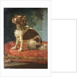 A Spaniel on a Cushion by Circle of Giacomo Antonio Ceruti