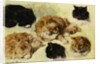 Studies of Cats by Henriette Ronner-Knip