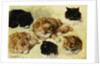 Studies of Cats by Henriette Ronner-Knip
