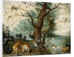 Animals and Birds in the Garden of Eden by School of Ferdinand van Kessel