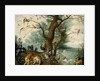 Animals and Birds in the Garden of Eden by School of Ferdinand van Kessel
