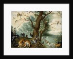 Animals and Birds in the Garden of Eden by School of Ferdinand van Kessel