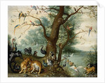 Animals and Birds in the Garden of Eden by School of Ferdinand van Kessel