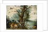 Animals and Birds in the Garden of Eden by School of Ferdinand van Kessel