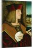 Portrait of Emperor Maximilian I, Half-Length, Wearing the Collar and Badge of the Golden Fleece by Bernhard Stringle