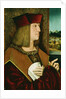 Portrait of Emperor Maximilian I, Half-Length, Wearing the Collar and Badge of the Golden Fleece by Bernhard Stringle