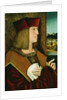 Portrait of Emperor Maximilian I, Half-Length, Wearing the Collar and Badge of the Golden Fleece by Bernhard Stringle