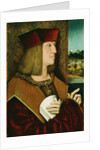 Portrait of Emperor Maximilian I, Half-Length, Wearing the Collar and Badge of the Golden Fleece by Bernhard Stringle