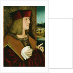 Portrait of Emperor Maximilian I, Half-Length, Wearing the Collar and Badge of the Golden Fleece by Bernhard Stringle