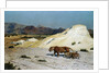 Lioness and Lion Cubs by Jean-Leon Gerome