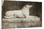 Maida by William Henry Fox Talbot