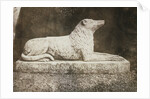 Maida by William Henry Fox Talbot