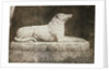 Maida by William Henry Fox Talbot