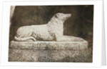 Maida by William Henry Fox Talbot