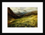 Flowers of the Alps by John MacWhirter